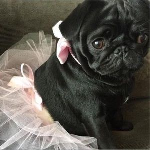 Meet your Posher, Sandi